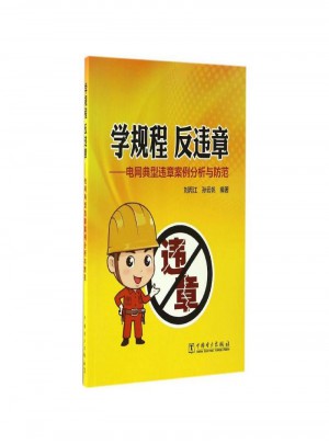 學規程反違章·電網典型違章案例分析與防范