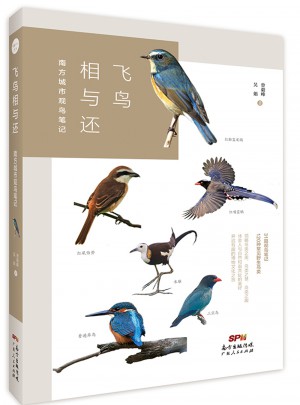 飛鳥相與還：南方城市觀鳥筆記