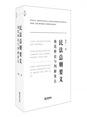民法總則要義：規(guī)范釋論與判解集注