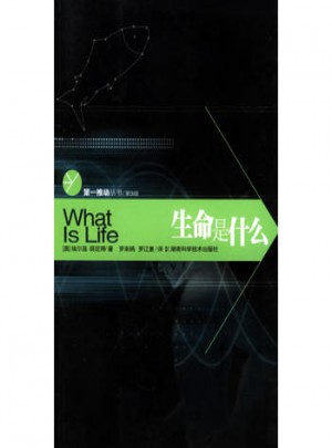 生命是什么