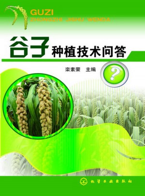 谷子種植技術問答