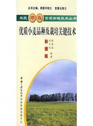 品質小麥品種及栽培關鍵技術