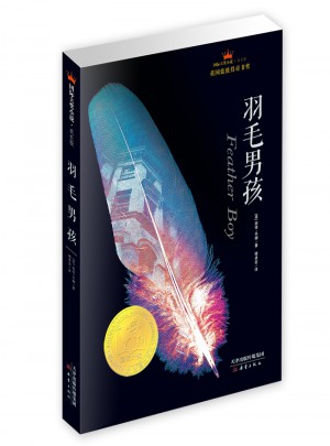 羽毛男孩