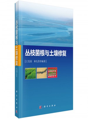 叢枝菌根與土壤修復