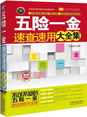 五險一金速查速用大全集：案例應用版