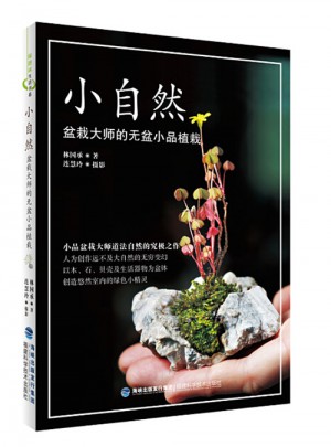 小自然：盆栽大師的無盆小品植栽