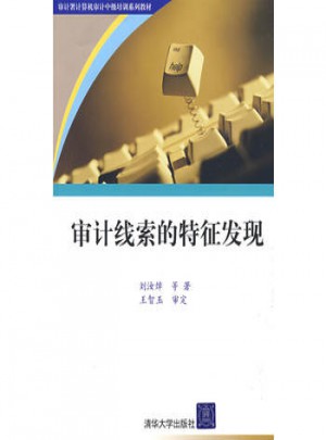 審計(jì)線索的特征發(fā)現(xiàn)