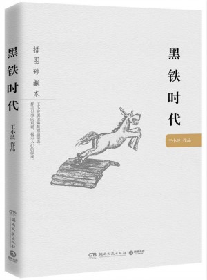 黑鐵時代：王小波作品（插圖珍藏本）