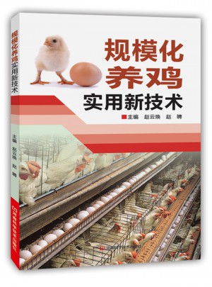 規模化養雞實用新技術