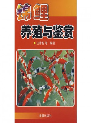 錦鯉養殖與鑒賞
