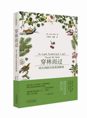 穿林而過