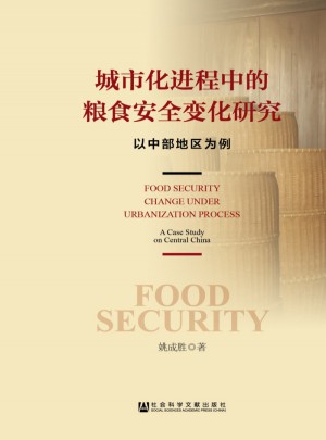 城市化進程中的糧食安全變化研究
