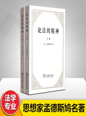 論法的精神(上下卷)