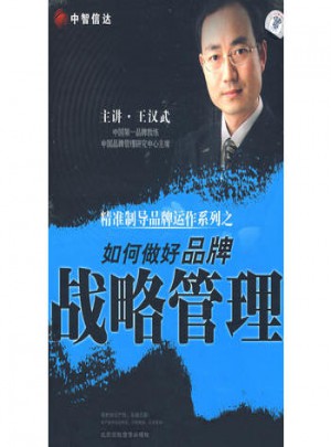 如何做好品牌/戰略管理（4DVD）（軟件）