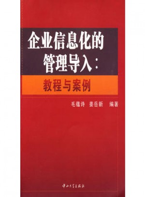 企業信息化的管理導入：教程與案例