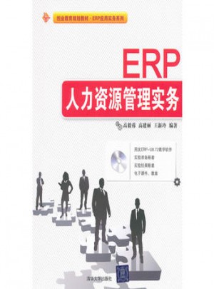ERP人力資源管理實務(配光盤)