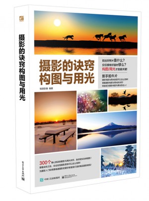 攝影的訣竅  構圖與用光 （全彩）