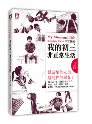 畢業在線：我的初三非正常生活