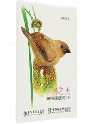 鳥之美