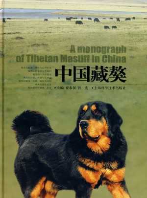 中國藏獒
