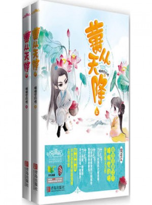 囍從天降（上下）