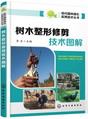 樹木整形修剪技術圖解