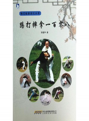 踢打摔拿一百零八