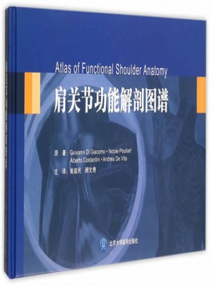 肩關節功能解剖圖譜