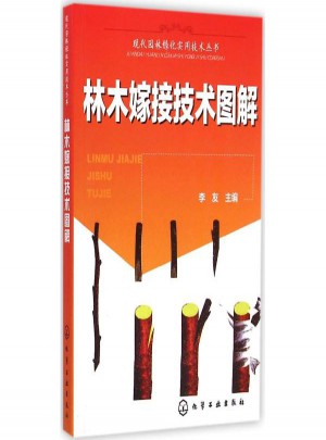 林木嫁接技術(shù)圖解