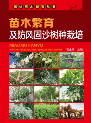苗木繁育及防風固沙樹種栽培