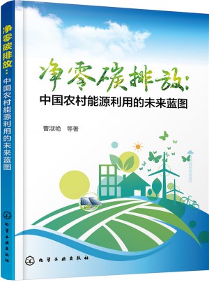 凈零碳排放：中國農村能源利用的未來藍圖