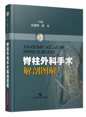 脊柱外科手術(shù)解剖圖解