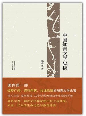中國知青文學史稿