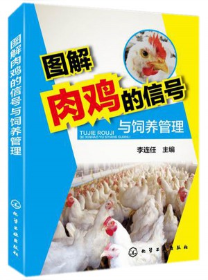 圖解肉雞的信號與飼養管理