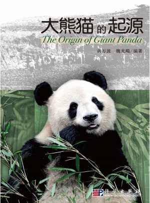 大熊貓的起源