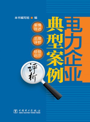 電力企業典型案例評析
