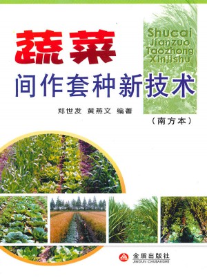 蔬菜間作套種新技術