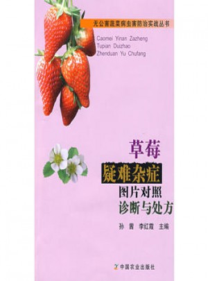 草莓疑難雜癥圖片對照診斷與處方
