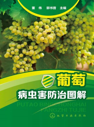 葡萄病蟲害防治圖解