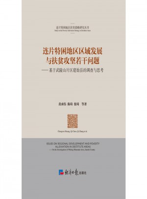 連片特困地區區域發展與扶貧攻堅若干問題