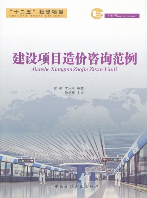 建設項目造價咨詢范例