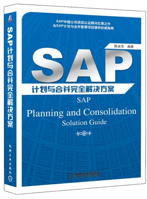SAP計劃與合并解決方案