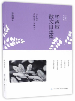 畢淑敏散文自選集