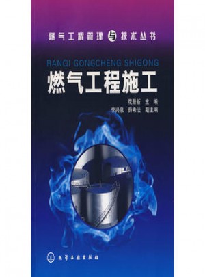 燃?xì)夤こ坦芾砼c技術(shù)叢書燃?xì)夤こ淌┕? />		
		</div>
		<div   id=