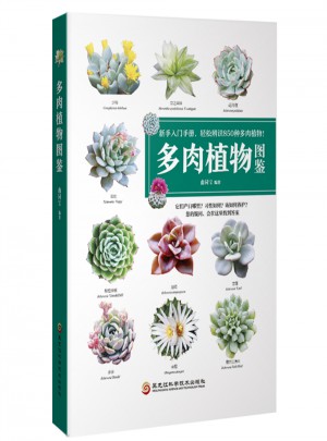 多肉植物圖鑒