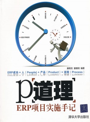 P道理：ERP項目實施手記