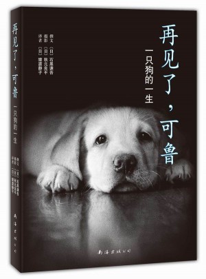 再見(jiàn)了，可魯