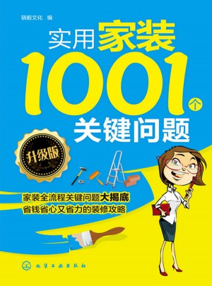 實用家裝1001個關鍵問題