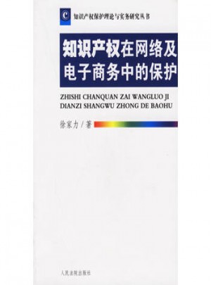 知識產權在網絡及電子商務中的保護