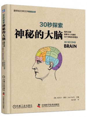 30秒探索：神秘的大腦